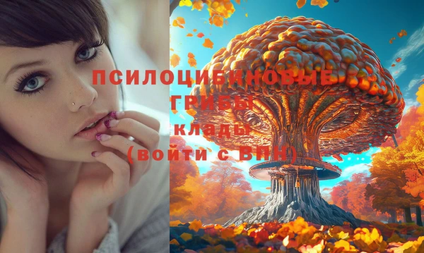 экстази Россошь