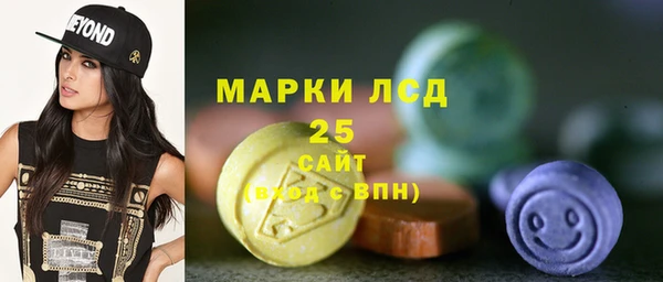 ГАЛЛЮЦИНОГЕННЫЕ ГРИБЫ Рославль