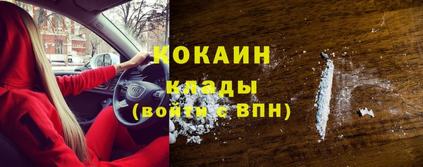 ГАЛЛЮЦИНОГЕННЫЕ ГРИБЫ Рославль