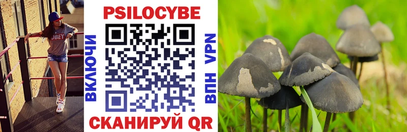 купить закладку  Никольск  Галлюциногенные грибы мицелий 