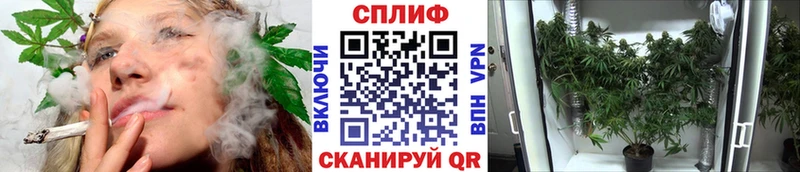 Бошки Шишки ГИДРОПОН  МЕГА зеркало  Никольск 